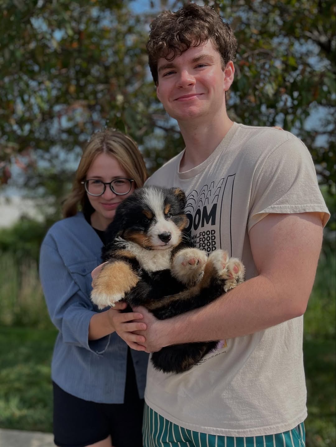 Why Vertmonts Kennels Puppies makes a perfect family